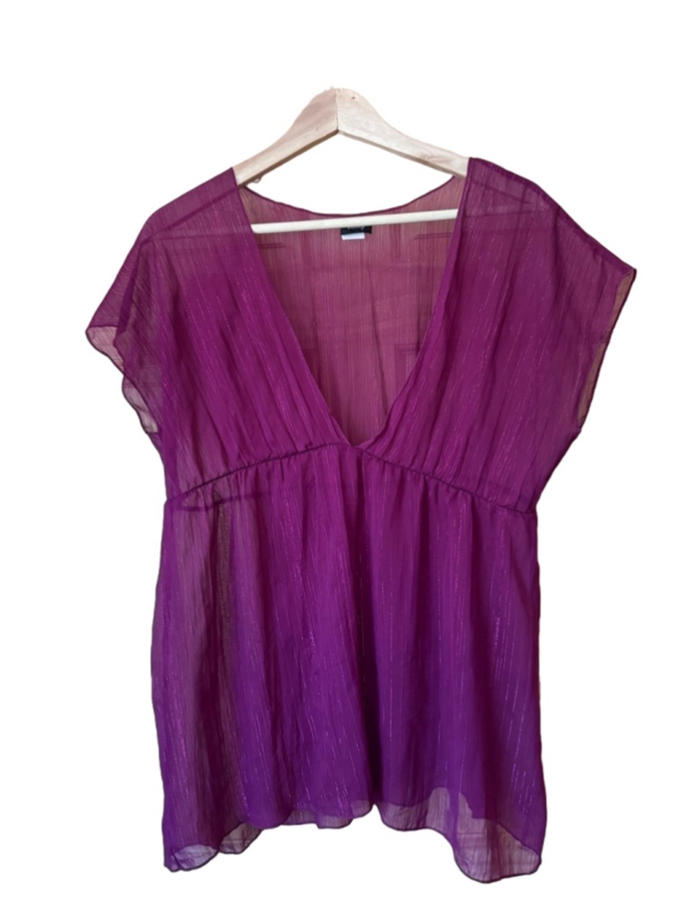 Vanity Sheer sparkly V-Neck Blouse in Deep Fuchsia size large